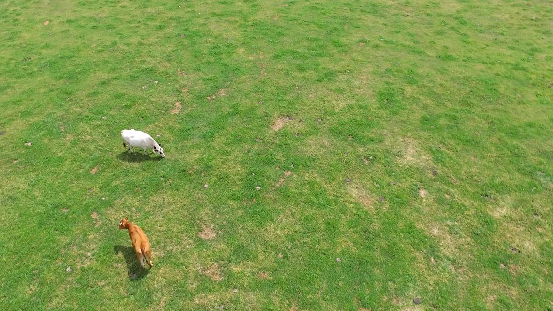 Metereología y Naturaleza Drones