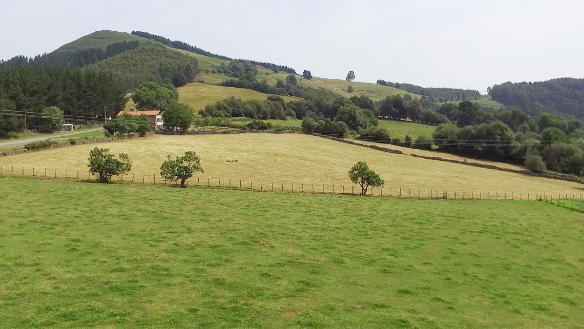 Agricultura y ganadería Drones dron